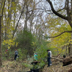 Forested area with students working in the background
